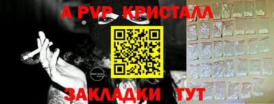 PSILOCYBIN Тула