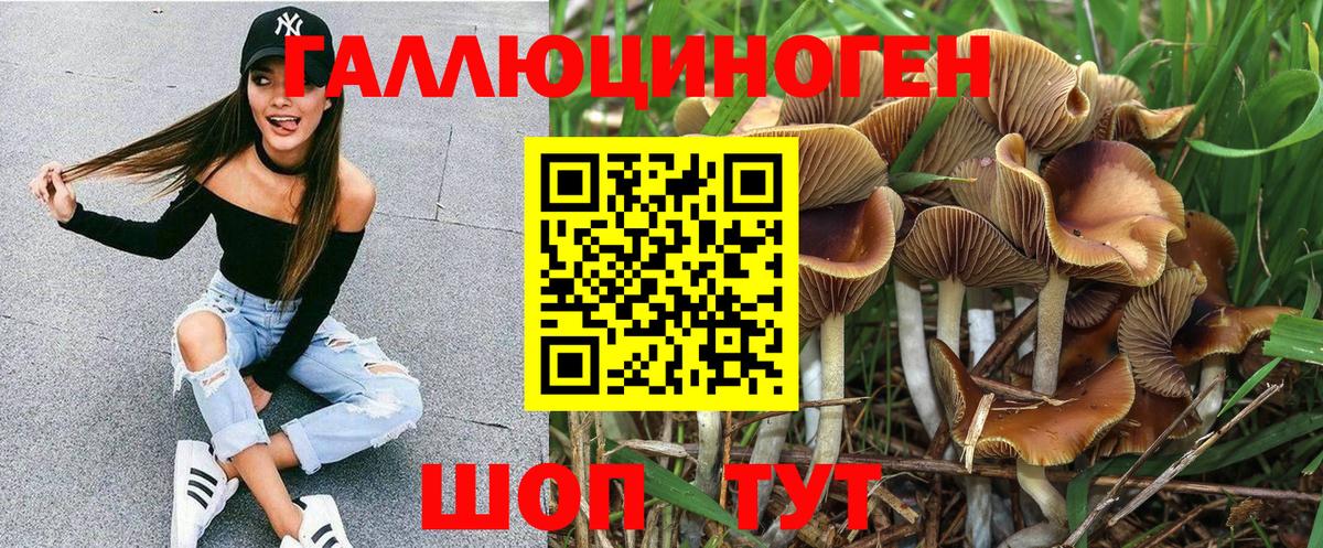 Белореченск  Псилоцибиновые грибы MAGIC MUSHROOMS  Псилоцибиновые грибы мухоморы  Вход с VPN 